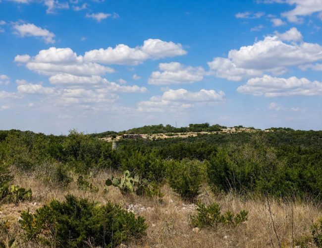 axis-draw-edwards-county-texas-20260828-134901-009