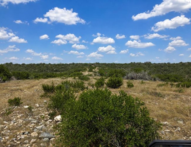 axis-draw-edwards-county-texas-20260828-140436-016
