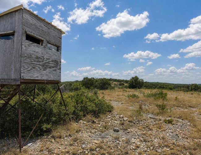 axis-draw-edwards-county-texas-20260828-140616-018