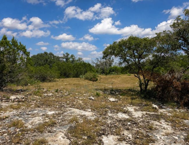 axis-draw-edwards-county-texas-20260828-140952-019