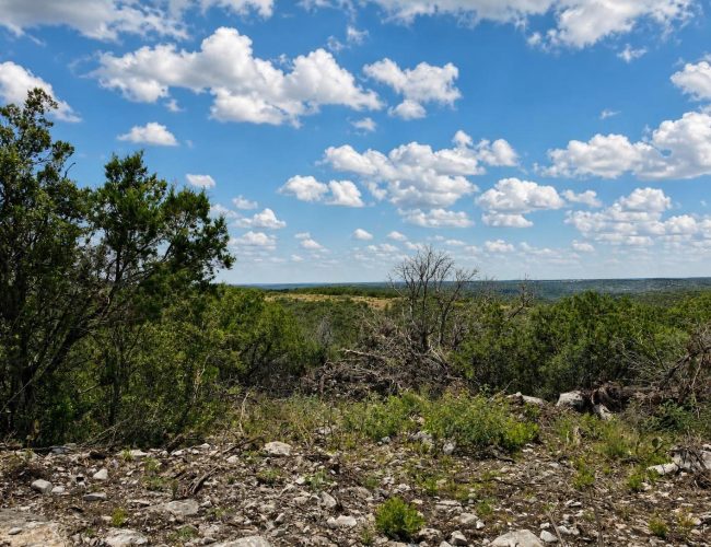 axis-draw-edwards-county-texas-20260828-141240-020