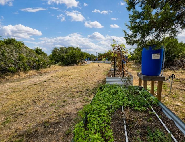 c-p-ranch-edwards-county-texas-20260926-125526-029