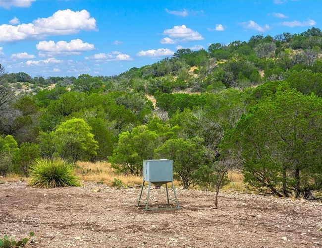 c5355a3a5edc7d2a6d4b925eb5a4e005-uncropped_scaled_within_1536_1152