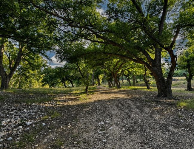 comstock-valverde-texas-1-6338526844-005
