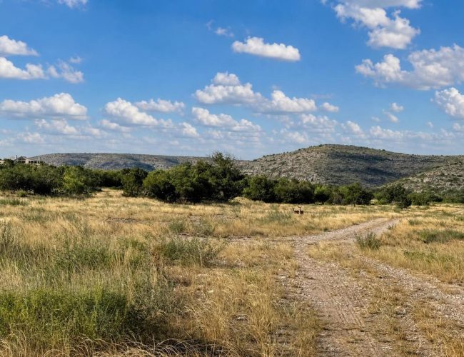 comstock-valverde-texas-1-6338526847-008