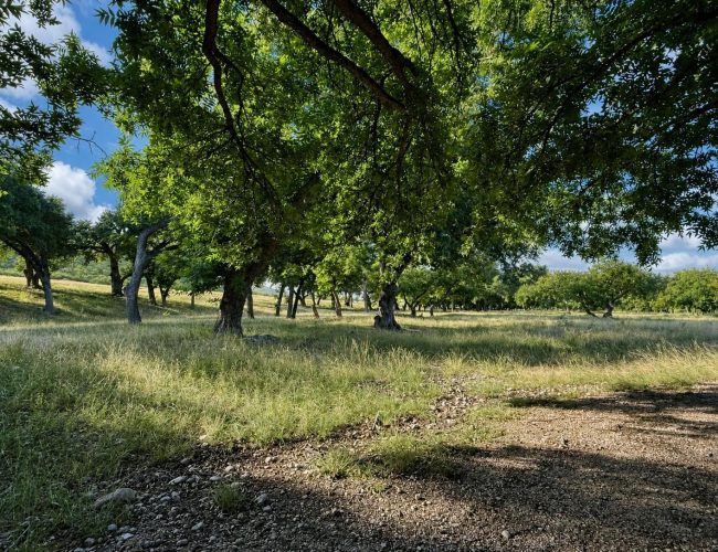 comstock-valverde-texas-1-6338526870-031