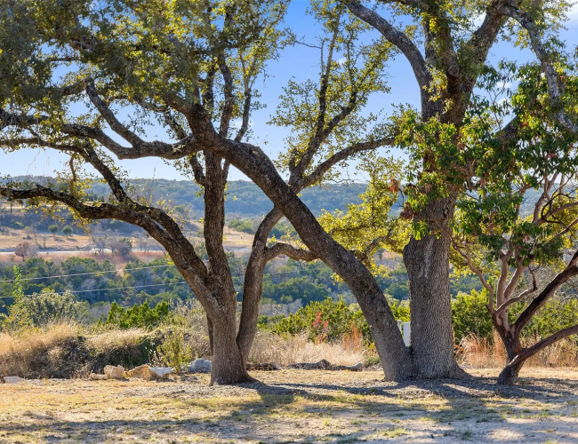 dd89bac4e0526ee47800eb19b4ddc92c-uncropped_scaled_within_1536_1152