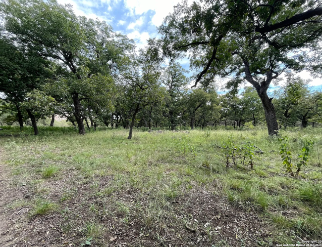 f90c657fe7f814df5ea331a446fc48c6-uncropped_scaled_within_1536_1152